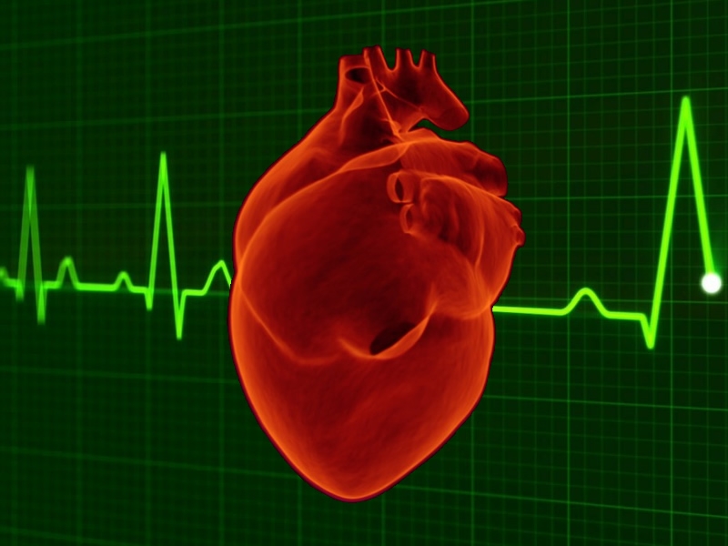 human heart with heart pulse graphic background