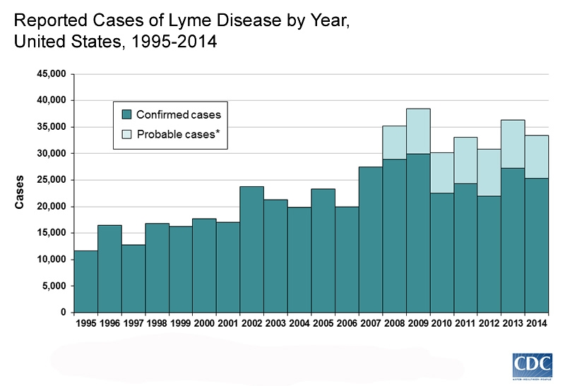 Graph showing growth in reported cases of Lyme Disease