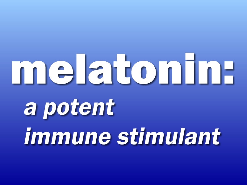 Text says: Melatonin: a potent immune stimulant