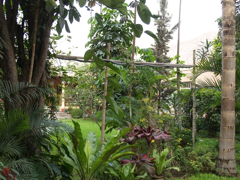 IPIFA Gardens