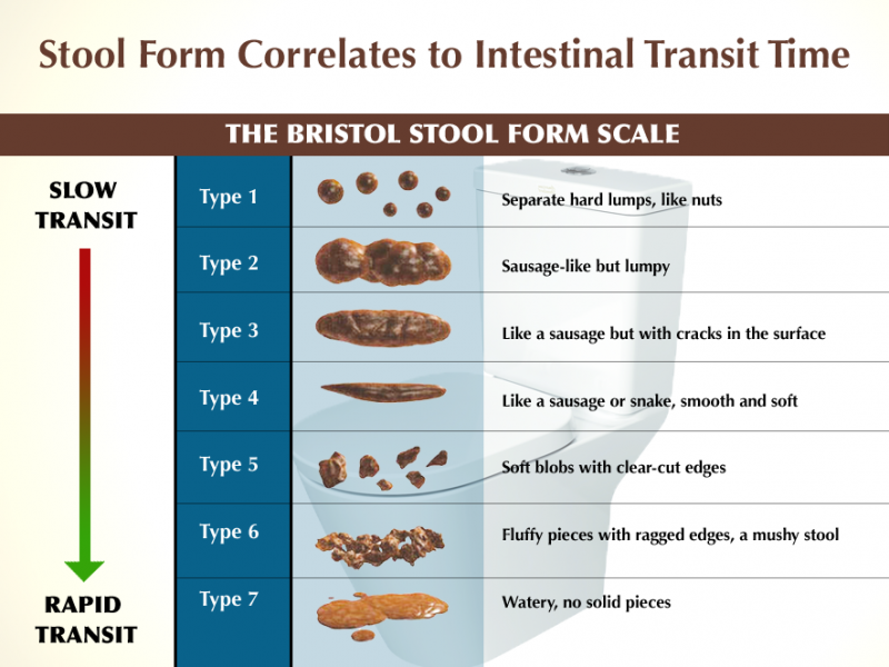 bristolstoolformchart-png-foundation-for-alternative-and-integrative-medicine