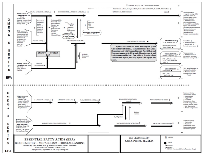 Chart illustrating essential fatty acids biochemistry, metabolism, prostaglandins