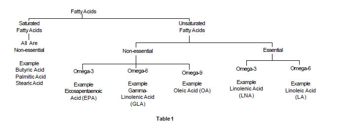 hierarchical chart showing relationships among fatty acids and unsaturated fatty acids