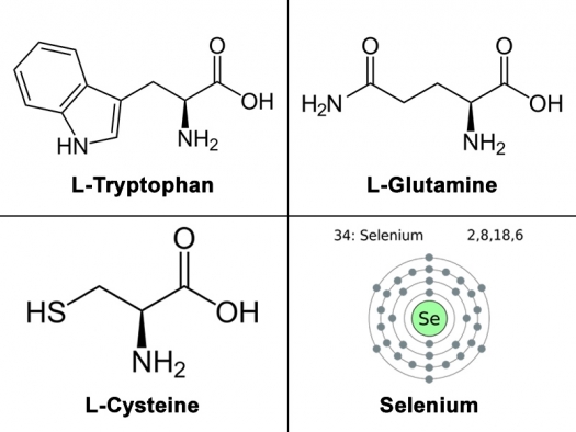 symbols for L-Tryptophan, L-Glutamine, L-Cysteine, Selenium