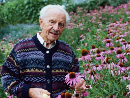 Alfred Vogel in field of purple coneflowers
