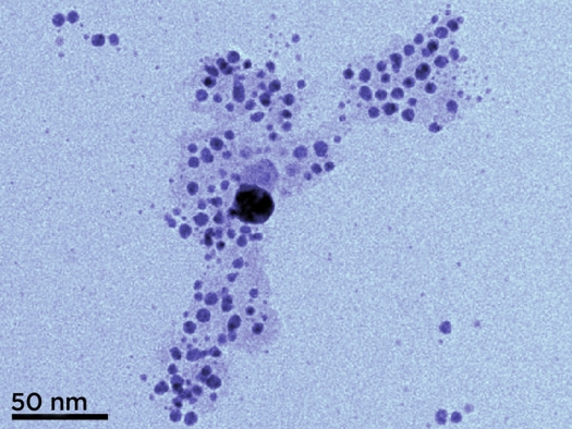 Electron micrograph of silver manoparticles