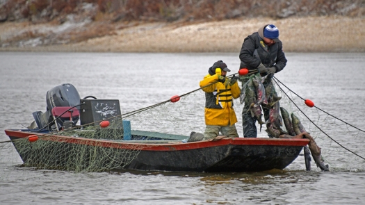 two people in heavy jackets in boat pulling up fish in a net