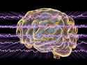 EEG Electroencephalogram illustration: brainwave activity lines superimposed on illustration of a brain