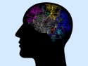 silhouette of human head with colorful lightning in brain area