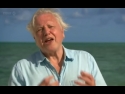 Sir David Attenborough at ocean