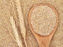 Wheat germ, wheat stalks, and wooden spoon