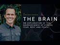 Zach Bush: The Brain